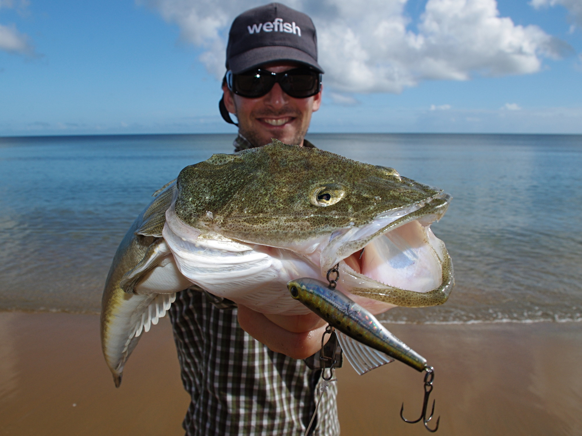 Dusky Flathead (Platycephalus fuscus) caught in an estuary while spinfishing in Australia